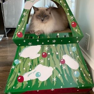 Meet your Posher, Cristina